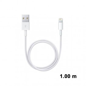 Lightning M/ USB 2.0 A Synch/Charge 1.00 m Blanc (certifié apple)